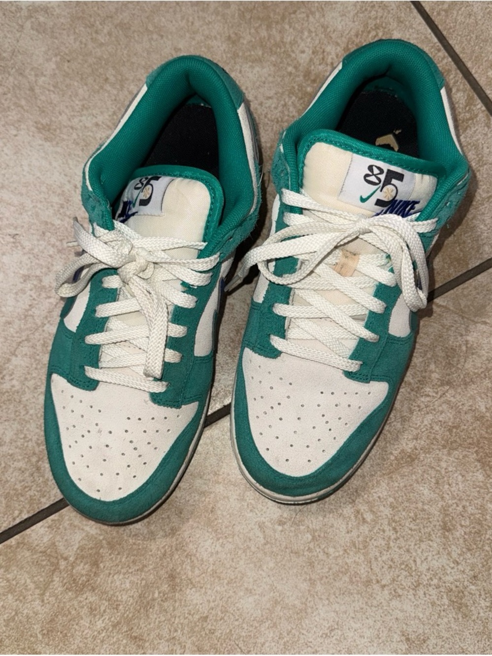 Nike Woman Teal and White Low-Top Sneakers